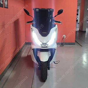 23년식 혼다 pcx 125 / 1,025km 판매합니다