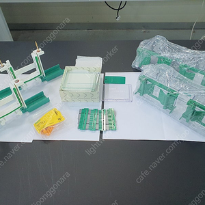 Bio-Rad Electrophoresis System 바이오라드 전기영동장치 부속 팝니다.