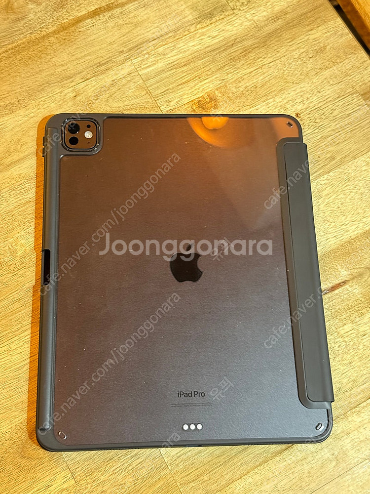 아이패드 프로 M4 13인치 256GB 스페이스블랙 해...--2