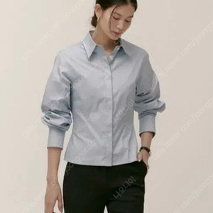 시에 베러 프렌치 셔츠 스카이블루 M 새상품