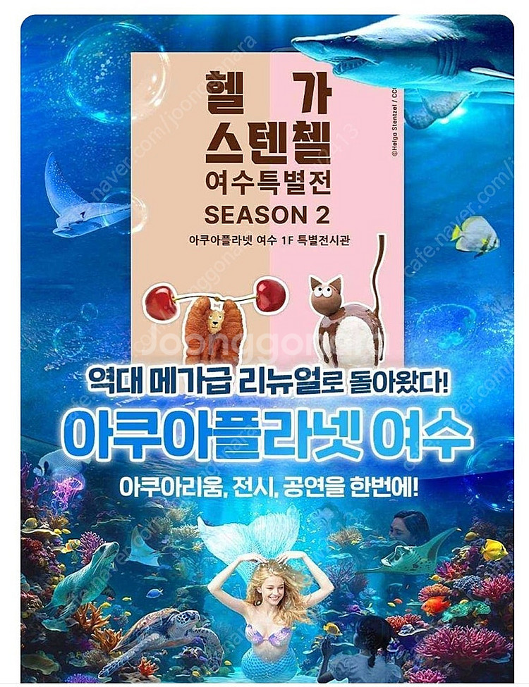 여수 아쿠아플라넷 입장권 판매합니다--0