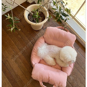 꼬모프랑쉬 카시트 핑크