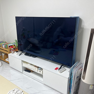 LG OLED 65인치 TV