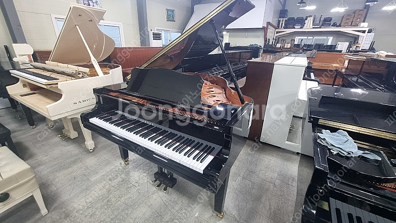 (초특가)2022년제품야마하베이비그랜드피아노 GC-1--0