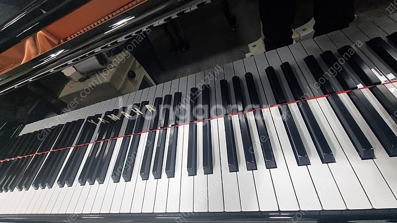 (초특가)2022년제품야마하베이비그랜드피아노 GC-1--5