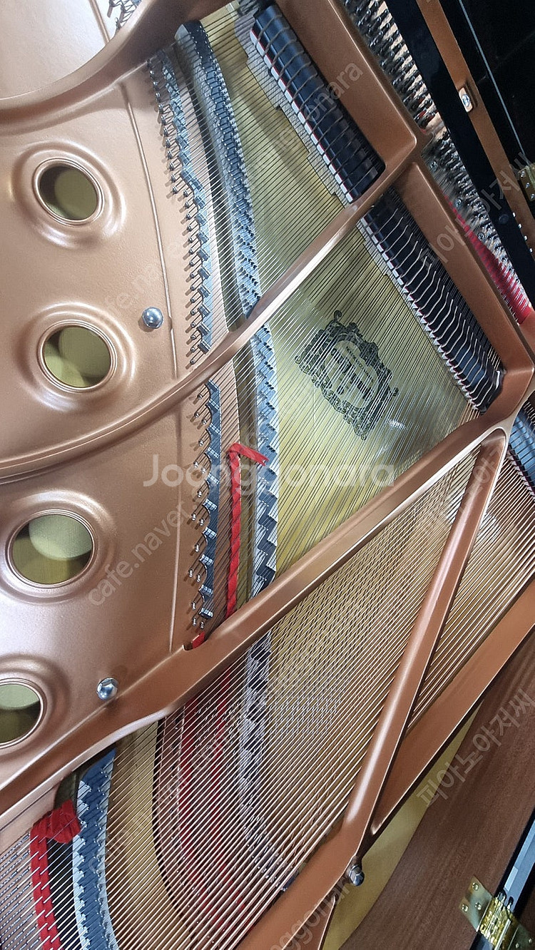 (초특가)2022년제품야마하베이비그랜드피아노 GC-1--6