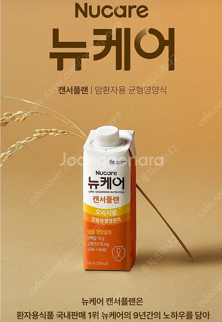 뉴케어 캔서플랜 (인핸서),뉴케어 당플랜 호두맛,인절미...--0