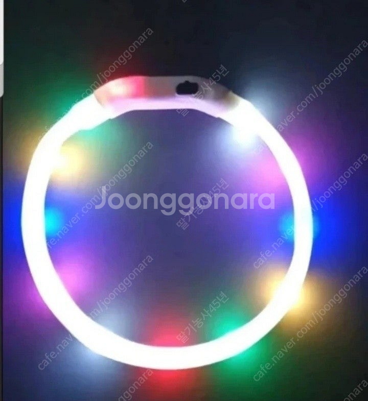 애완견 LED산책목걸이--0