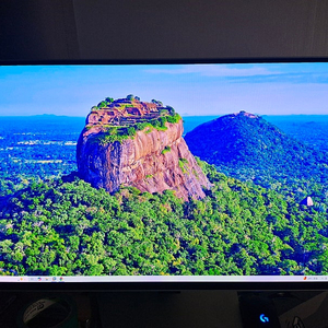오디세이 QHD OLED G6 s27dg610 240hz(G61SD) 판매합니다