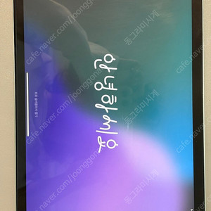 아이패드 에어4 그린 256 배터리 81%