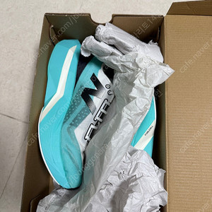 뉴발란스 엘리트 v4 260(D)