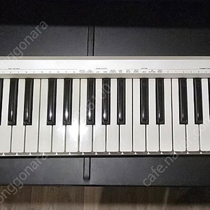 Roland A49 마스터건반 판매