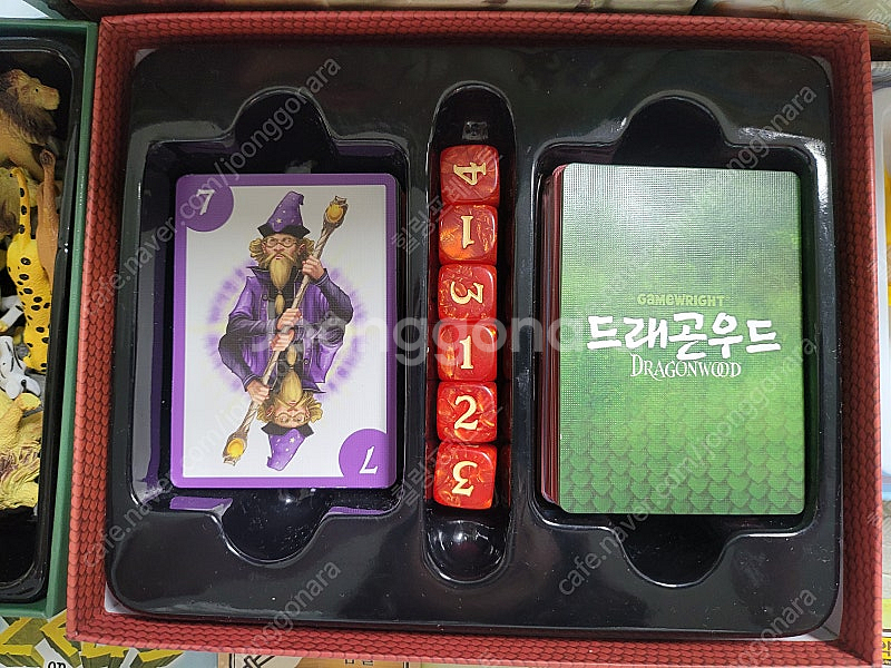 어린이날 선물)보드게임 와일드 사파리/제우스/드래곤우드...--3