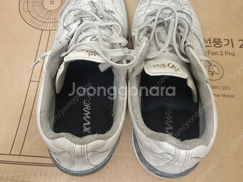 (260mm) 아슬레타 A005 TF--5