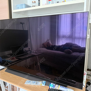 LG OLED 48C1ENB TV 급처