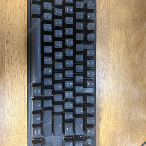 [팝니다-각종 키보드- 마지막 가격인하] 리얼포스 RC1 45g, 커세어 K70 PRO TKL MGX 래피드트리거