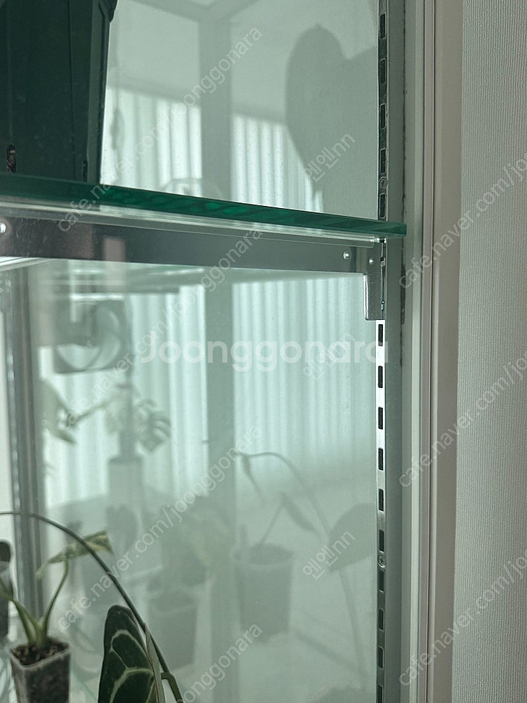 로렌스 식물 온실장 판매 (식물등,쿨링팬 포함)--2