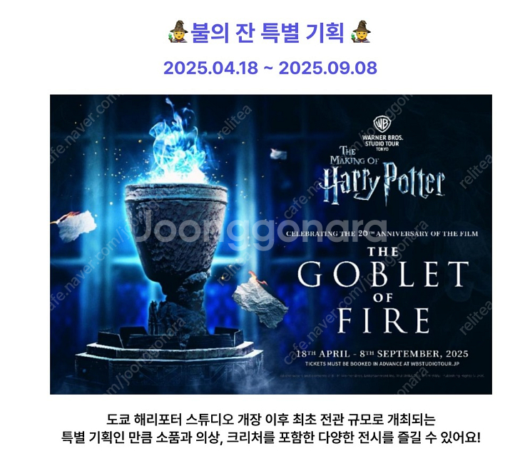 5/2 도쿄 위너브라더스(해리포터) 성인 2매 양도 합...--0