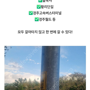 25.5/2 경주한화리조트 양도 ktx기차표2매도 있어요-리조트가격만표기했음