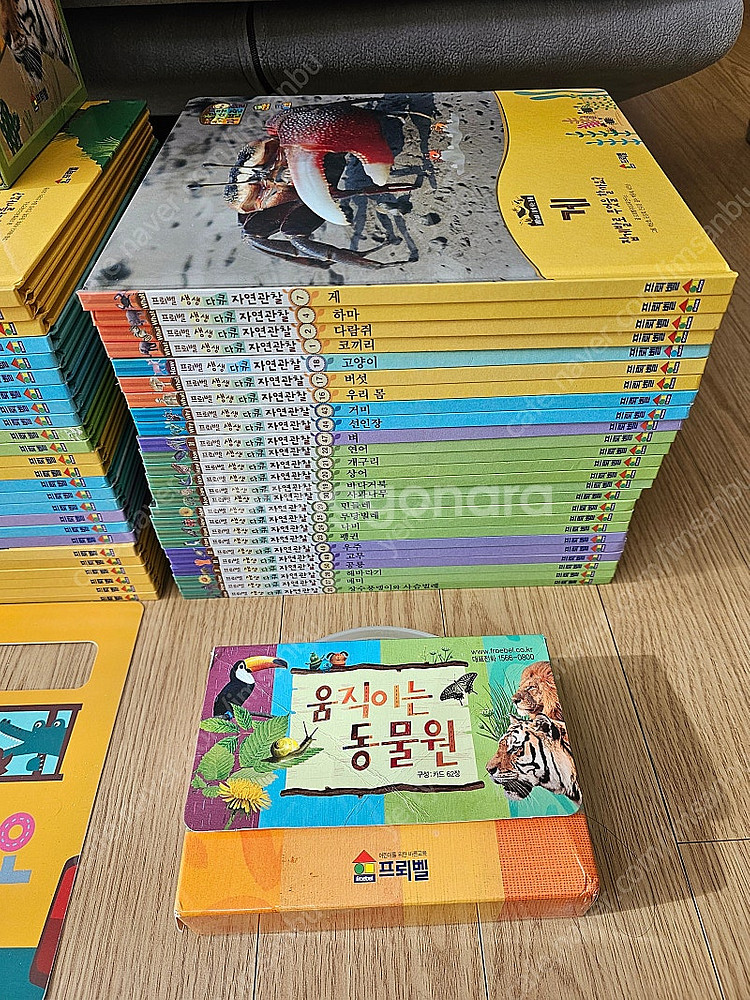 (최상)프뢰벨 생생다큐 자연관찰 씽킹펜버전 풀구성--2