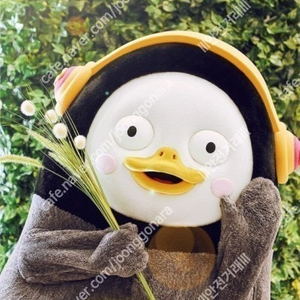 검정치마 토요일 공연 테이블석 및 스탠딩 10번대 연석 양도합니다.(최저가)