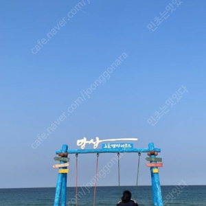 망상오토캠핑리조트 5/3~5/6사이 든바다 난바다 6인실이상 2박3일 구합니다