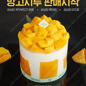 성심당 딸기시루 시즌종료 /망고시루 과일시루 ktx 버스특송 후기최다/최고 [보냈심당]