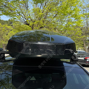 툴레 루프박스 (툴레 모션 xt xl 800리터)