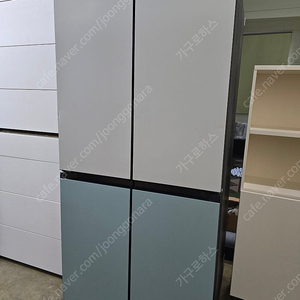 삼성 비스포크 냉장고 - RF60B91U2AP