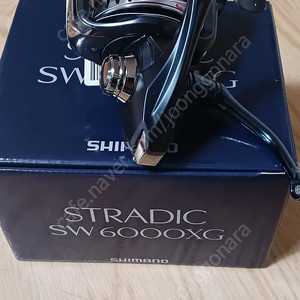 시마노 스트라딕 6000xg