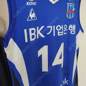 배구 조송화 유니폼 ibk 기업은행 흥국생명 이미지