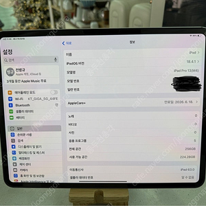 아이패드 프로 13 m4 256g 셀룰러