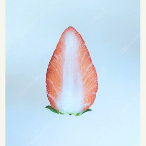 이옥토 작가 책갈피 교환 구해요 저 딸기 있어요