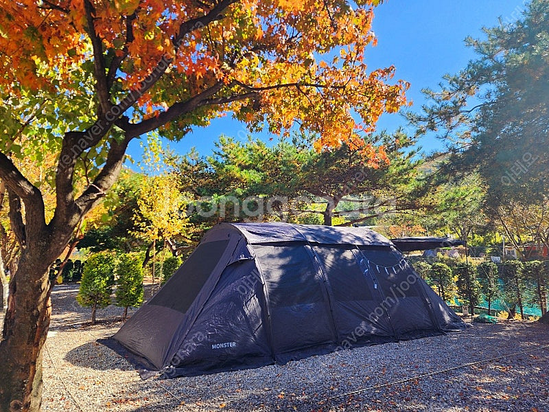 캠핑(코베아 몬스터 블랙, 홀리데이 타프, 신일 팬히터...--1