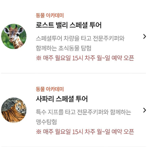에버랜드 사파리스페셜투어 로스트밸리스페셜투어 5월달