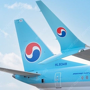 국내선 비행기 항공권 10만원이상 2만원 할인 예매해드려요(대한항공 아시아나 저가항공 등)