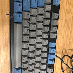리얼포스 R2tlsa us4 그레이블루