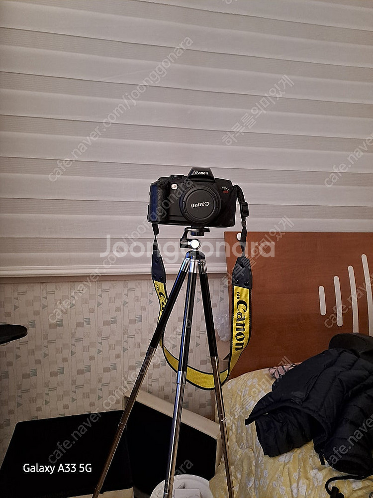 캐논 eos 888 필름 카메라--1