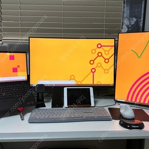 DELL 모니터 P2225H 판매합니다.
