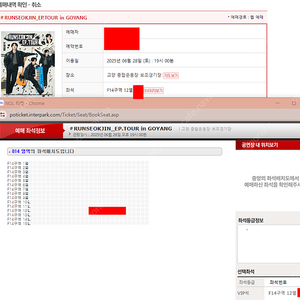 방탄 진 콘서트 RUNSEOKJIN_EP.TOUR VIP 한자리 양도
