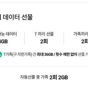 SKT 데이터 2기가 일괄