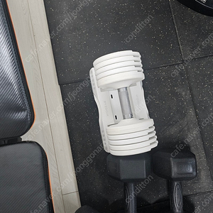 바이줌 무게조절 덤벨 11kg x 2개