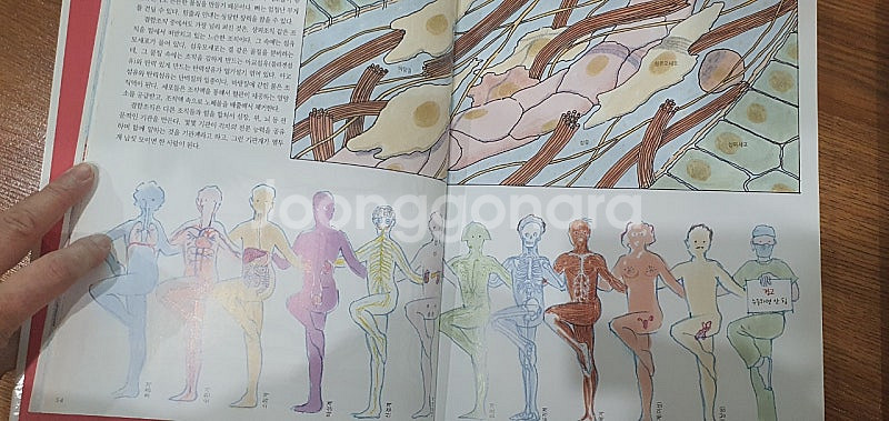 위험한 과학책+더 위험한 과학책+기발한 과학책+ 친절한...--6
