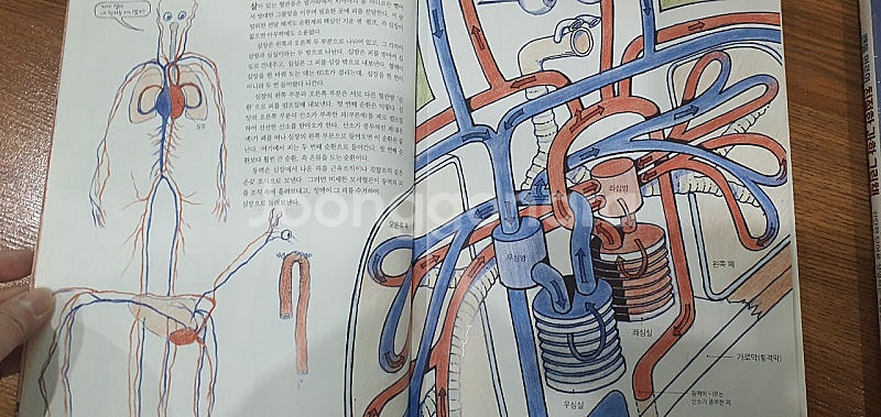위험한 과학책+더 위험한 과학책+기발한 과학책+ 친절한...--7
