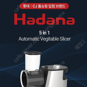 자동채칼