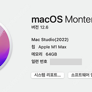맥스튜디오 CTO m1 max(32gpu, 64g ram, 512ssd) + 매직키보드, 매직트랙패드 팝니다.