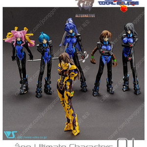일본 볼크스 정품 제품 Muv-Luv 얼터네이티브 Adult Game (마브러브 얼터네이티브 성인용 게임) 피규어 단품 판매합니다. (오늘만 이가격)