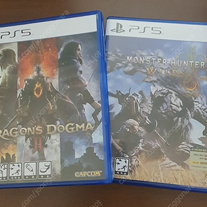 ps5 드래곤즈도그마 몬스터헌터 와일즈팝니다