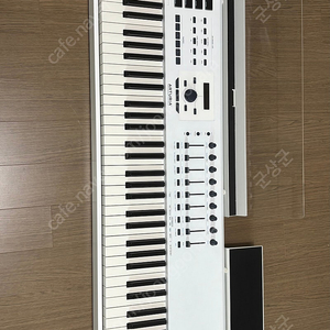 ARTURIA KeyLep88 MK2 해머건반 마스터키보드 팝니다