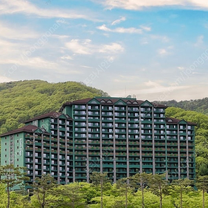 (5월 3일4일 어린이날) 홍천 비발디파크 소노펠리체 / 소노빌리지 / 소노펫 / 소노캄 / 소노벨